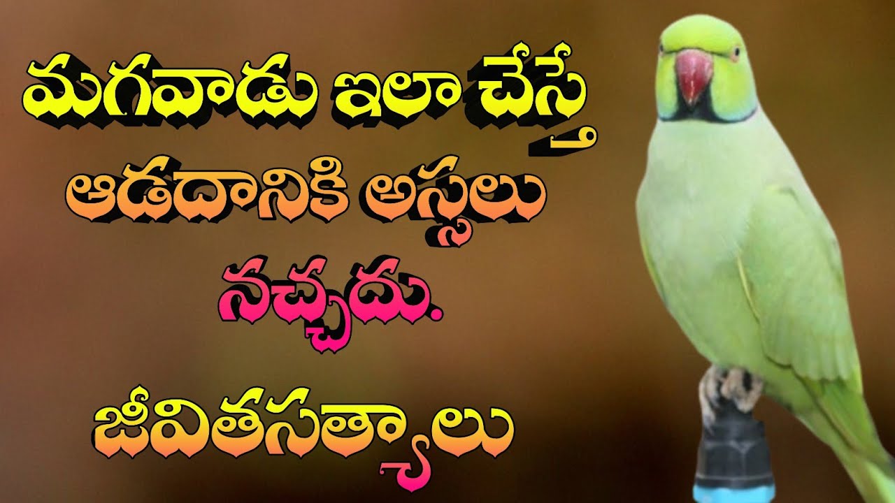 జీవిత సత్యాలు #327 |మంచి మాటలు|Inspirational quotes|Motivational quotes|సూక్తులు|Telugu quotes