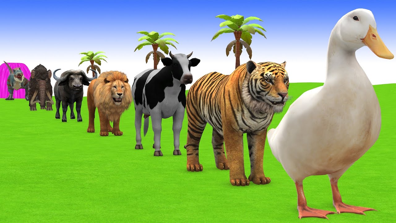 Long Slide Game with Cow Elephant Gorilla Hippopotamus Tiger 3d Animal Game Funny 3d Animals