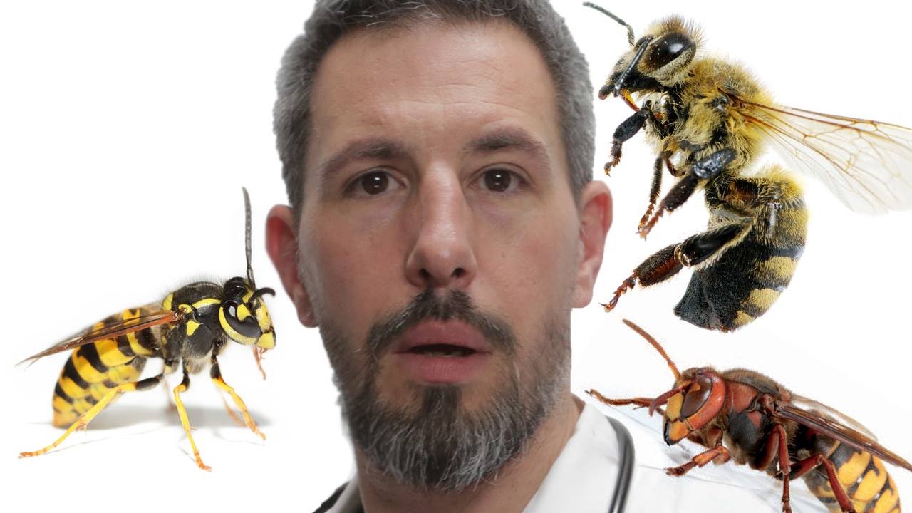 UN TRUC MAGIQUE EN CAS DE PIQÛRE D'INSECTE