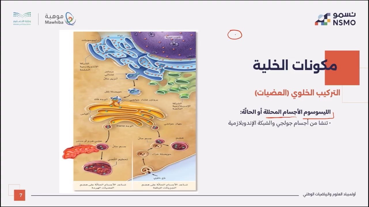 أولمبياد نسمو -تخصص الأحياء- الدرس الثالث تركيب الخلية 