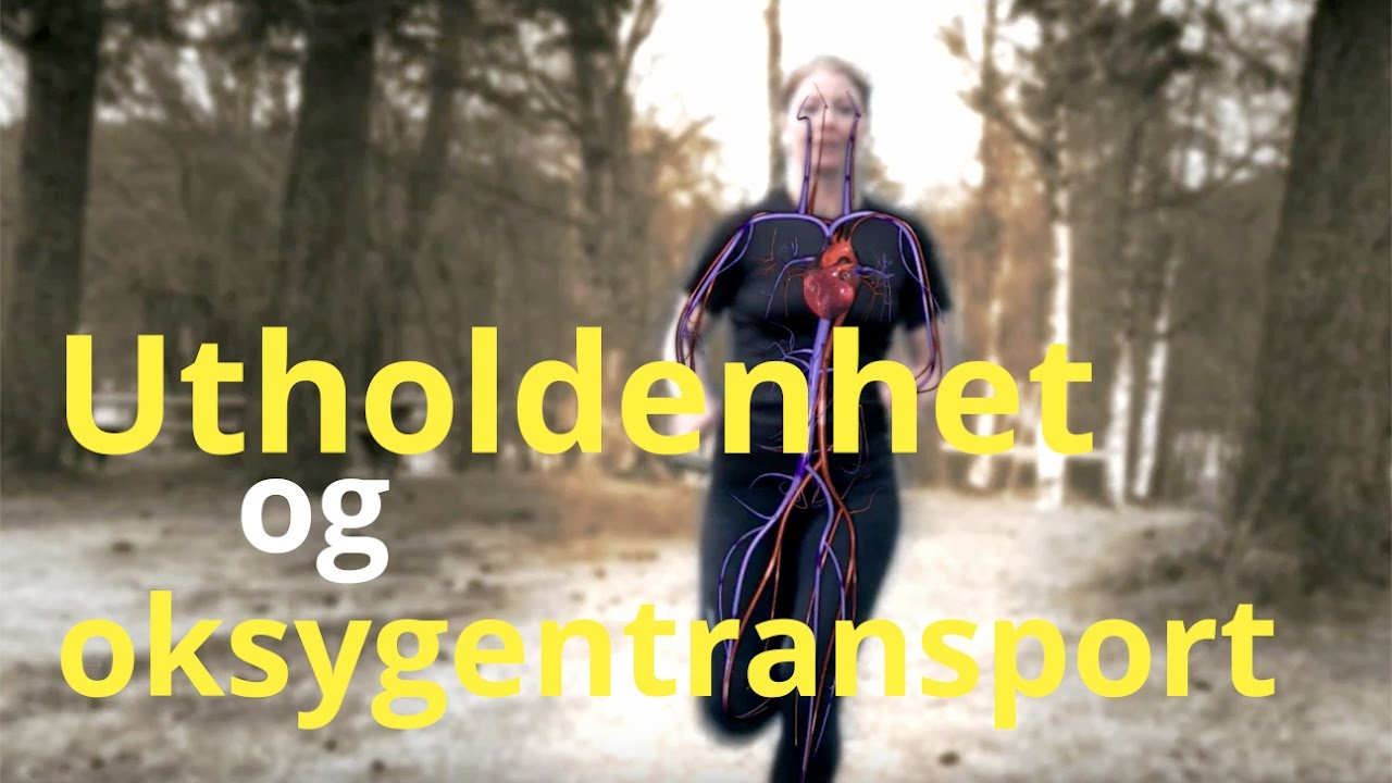 Utholdenhet og oksygentransport i kroppen