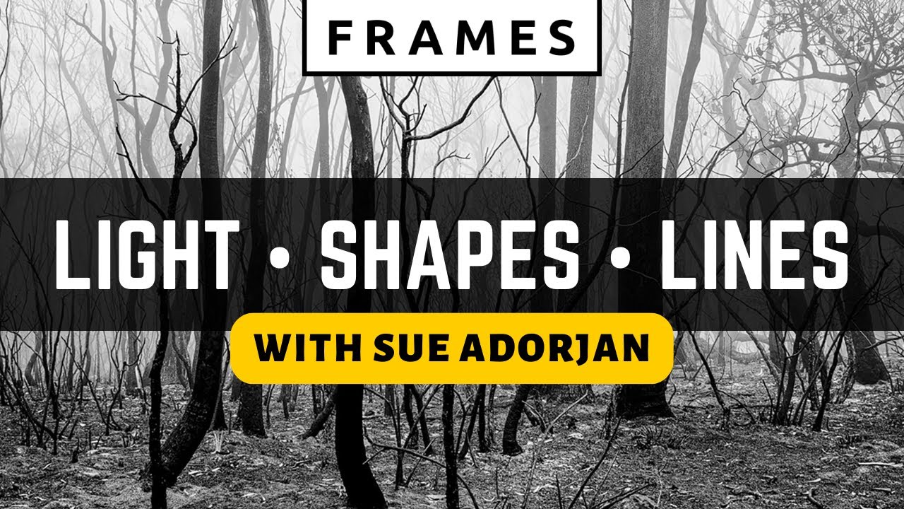 She always looks for LEADING LINES - with Sue Adorjan