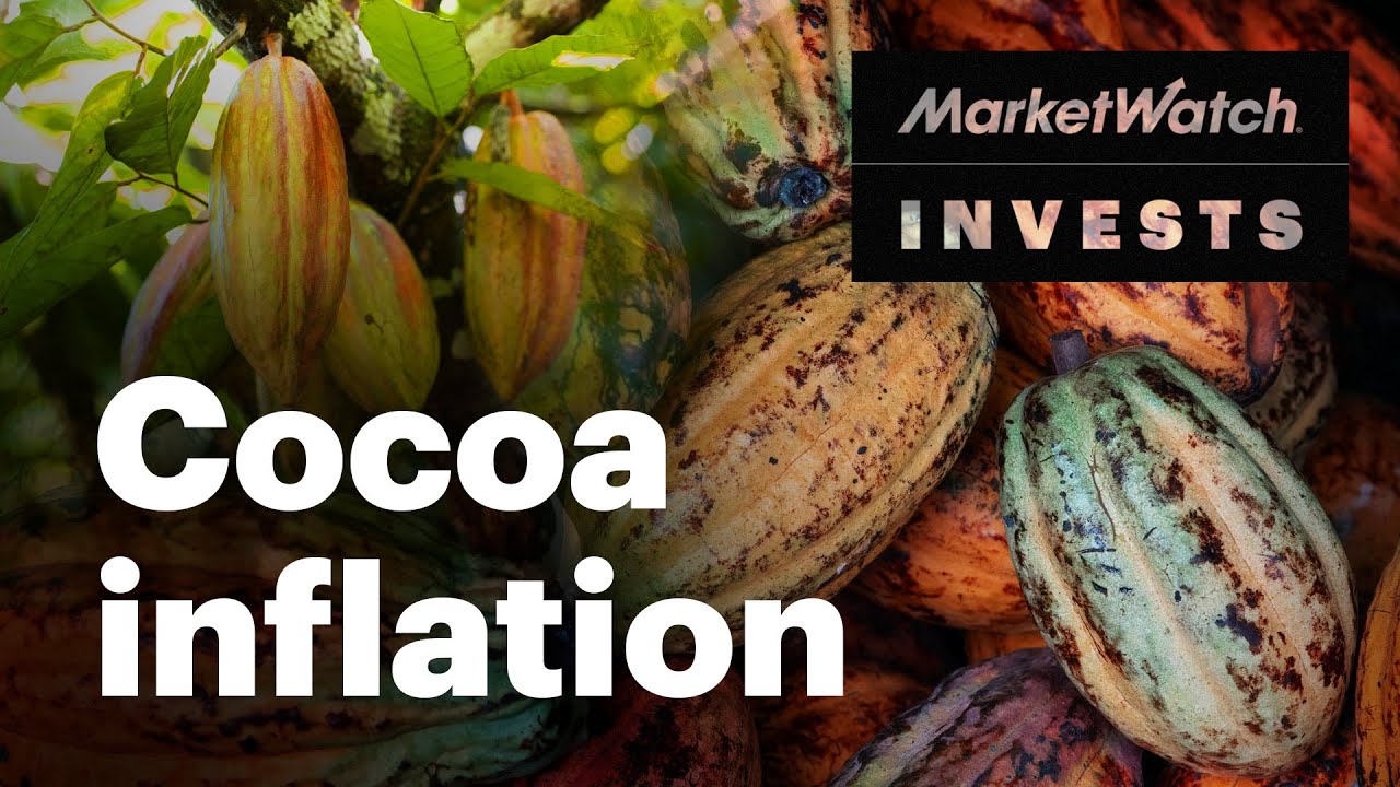 Why cocoa prices surged - and what that means for the cost of chocolate | MarketWatch Invests