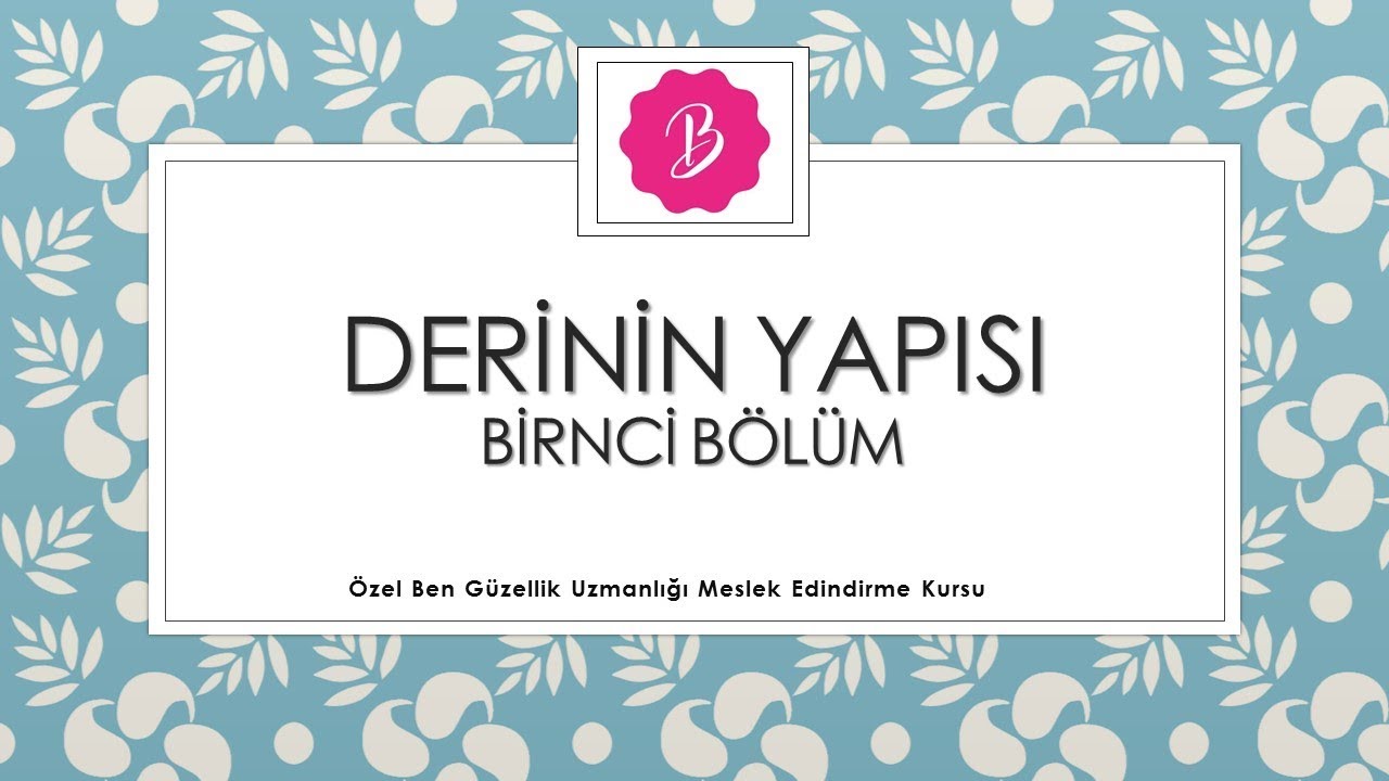 Derinin Yapısı - 1. Bölüm (Güzellik Uzmanlığı)