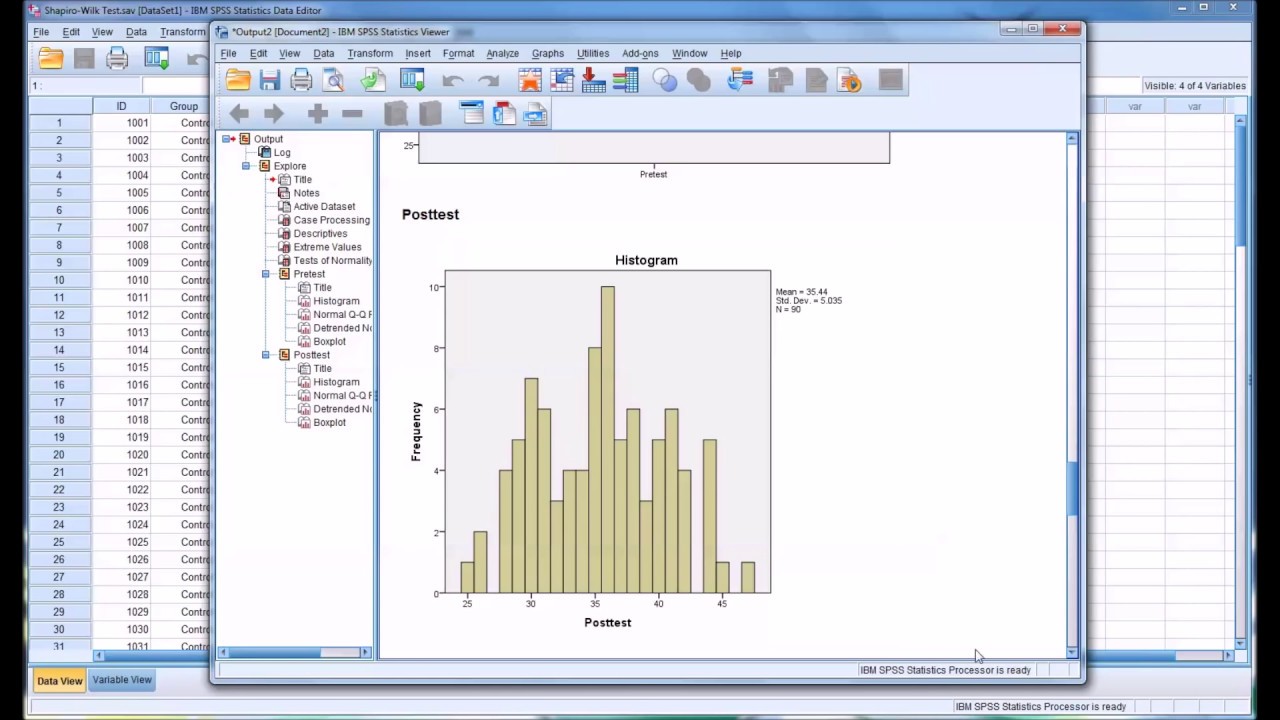 Conducting a Shapiro-Wilk Normality Test in SPSS