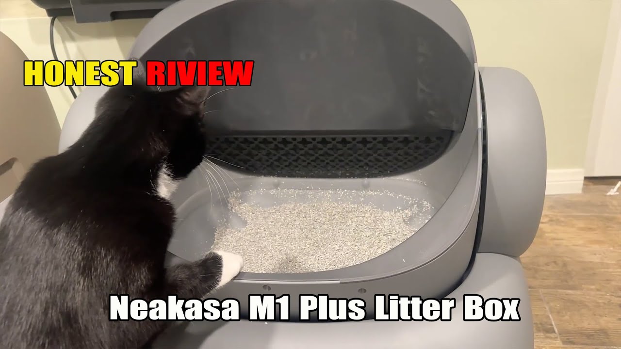 Обзор туалета Neakasa M1 Plus | Лучший самоочищающийся туалет для кошек с открытым верхом?