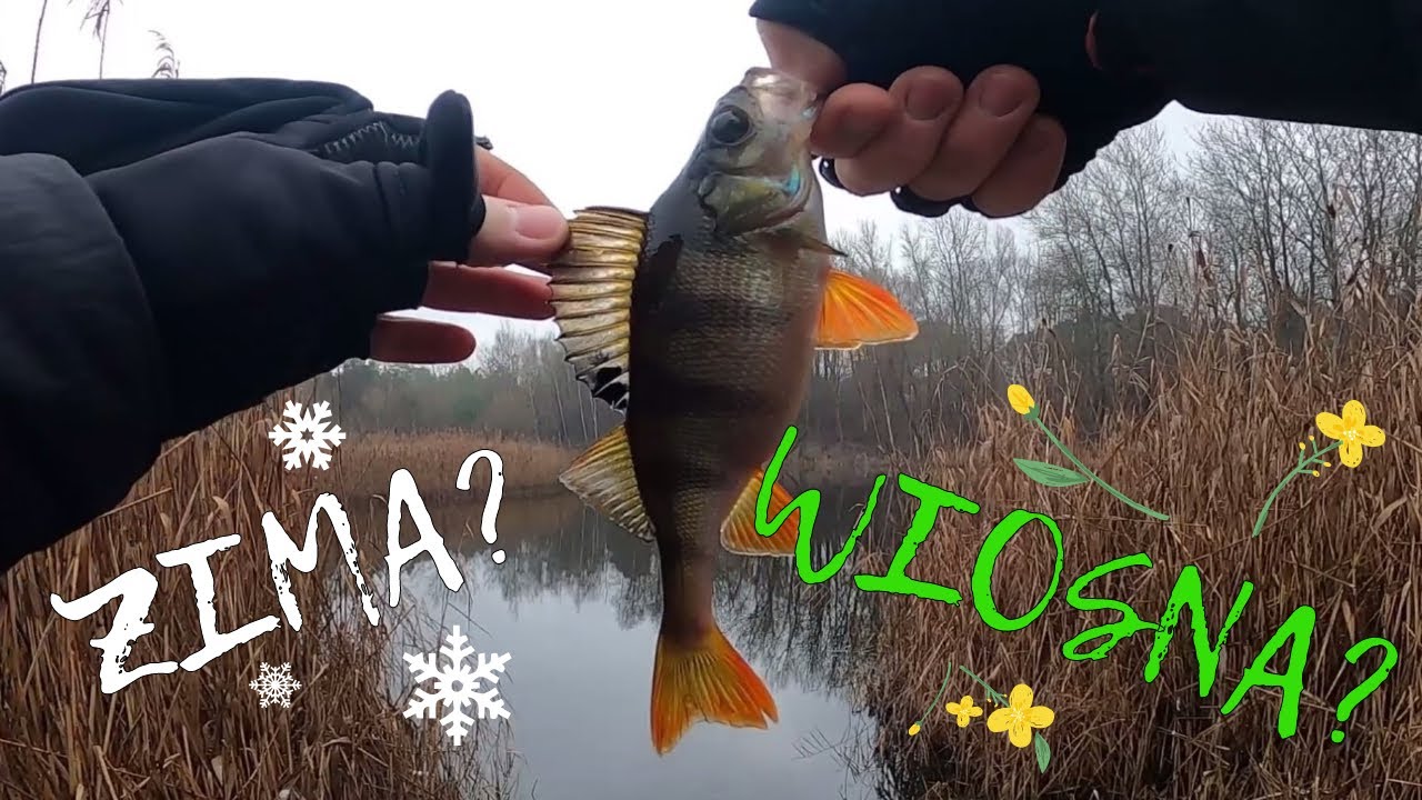 #19 - Styczniowe przedwiośnie, czyli pierwociny 2023