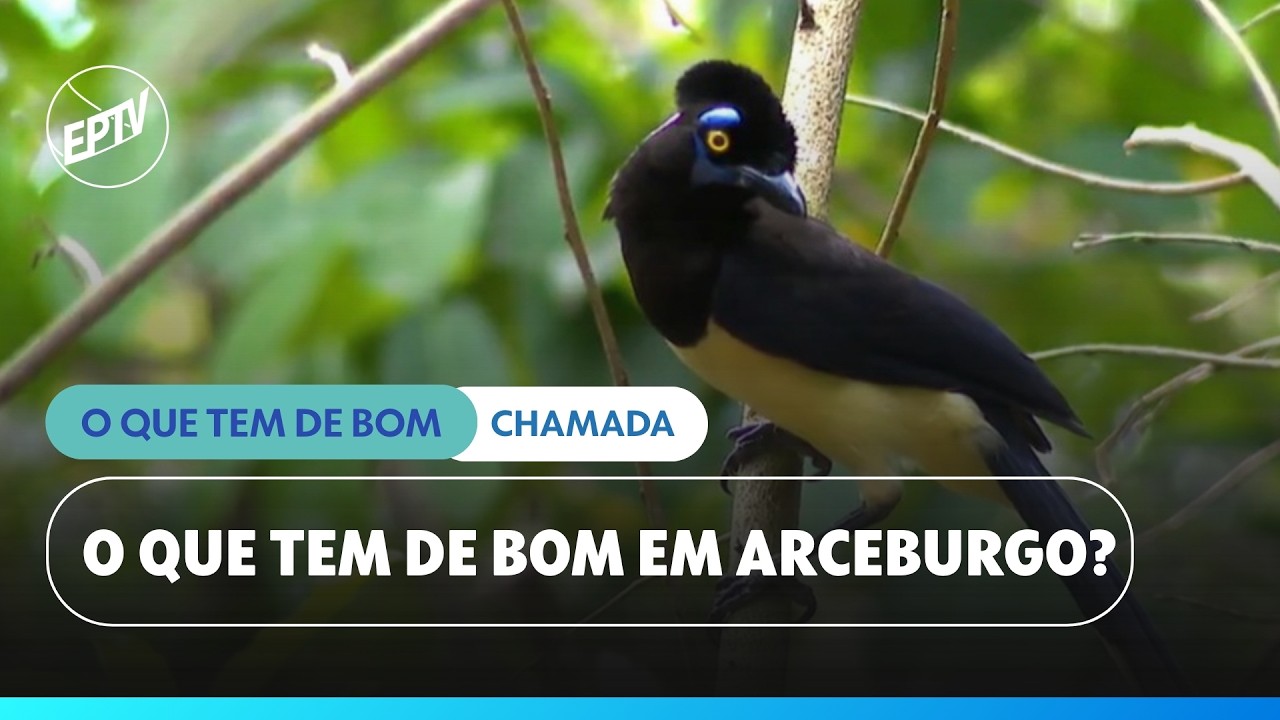 O que tem de bom em Arceburgo? | Terra da Gente | EPTV