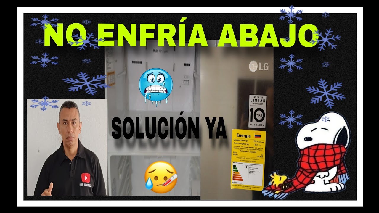 Nevera LG Inverter NO ENFRÍA ABAJO 🔥 Causa principal y solucion Definitiva