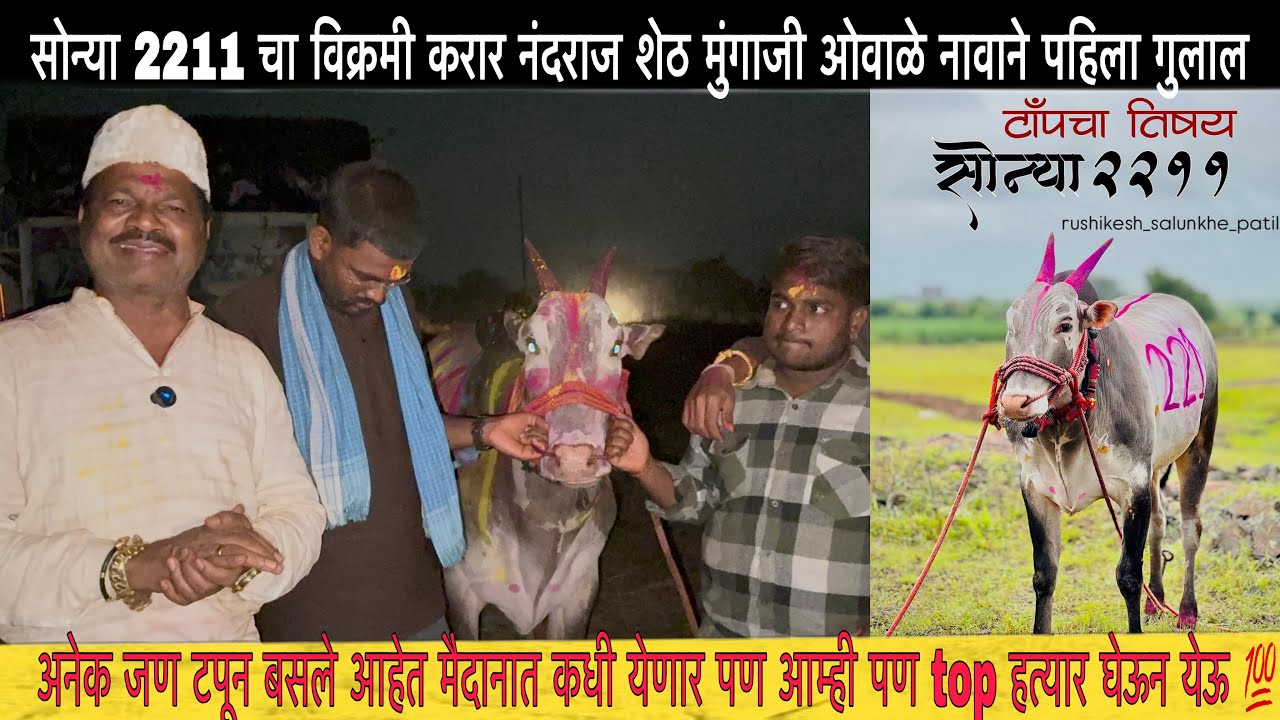 सोन्या 2211 चा विक्रमी करार नंदराज शेठ मुंगाजी ओवाळे | आगरी कोळी लग्न कशी असतात ते सर्वांना दाखवल 😍