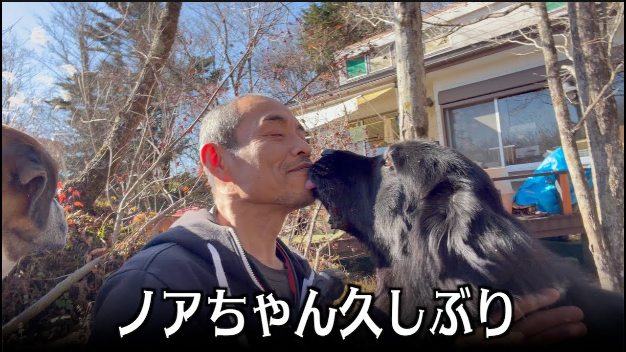 ノアちゃん・ハリー家がやってきた！【里親会2025】