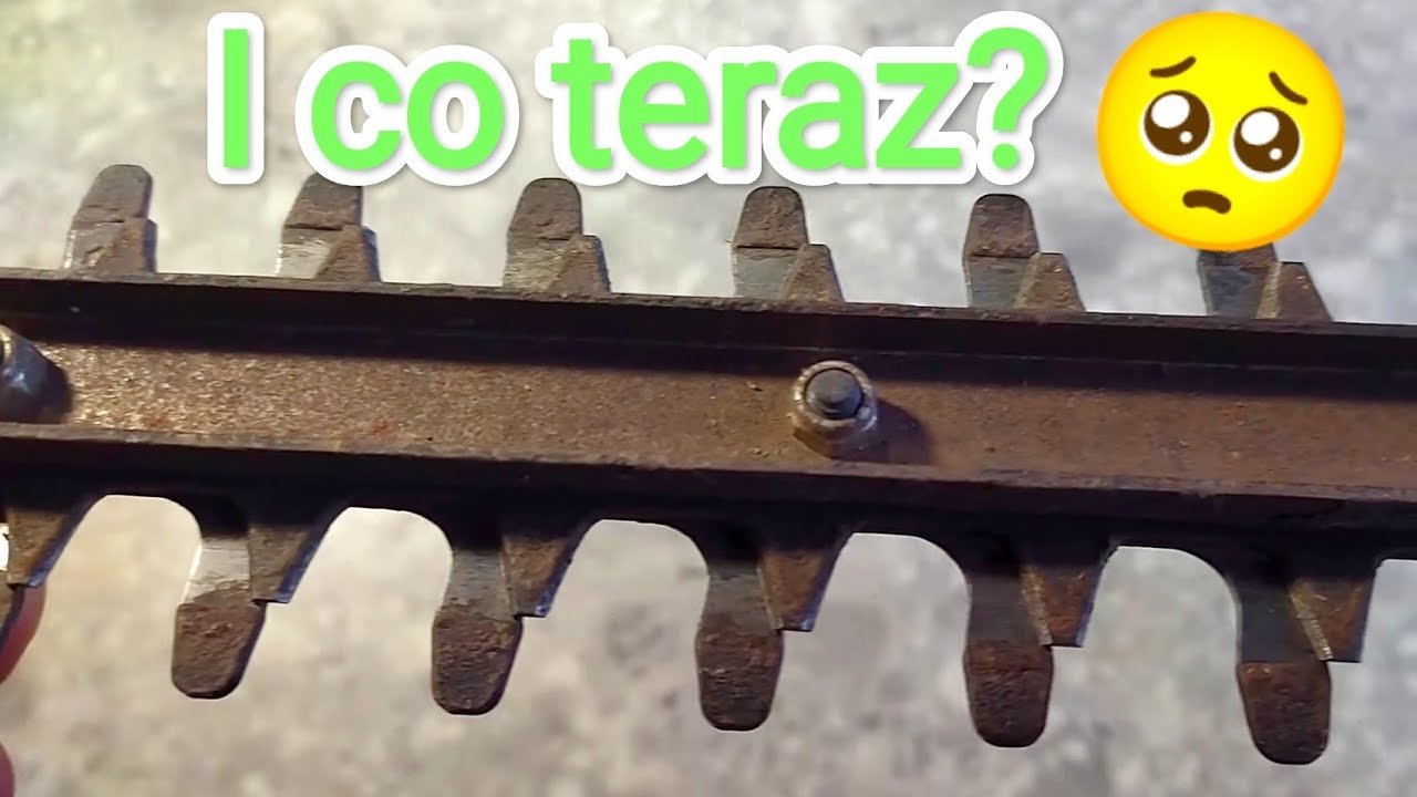 Dlaczego nożyce do żywopłotu nie tną? Jak sobie z tym poradzić?@Szymon Rekowski