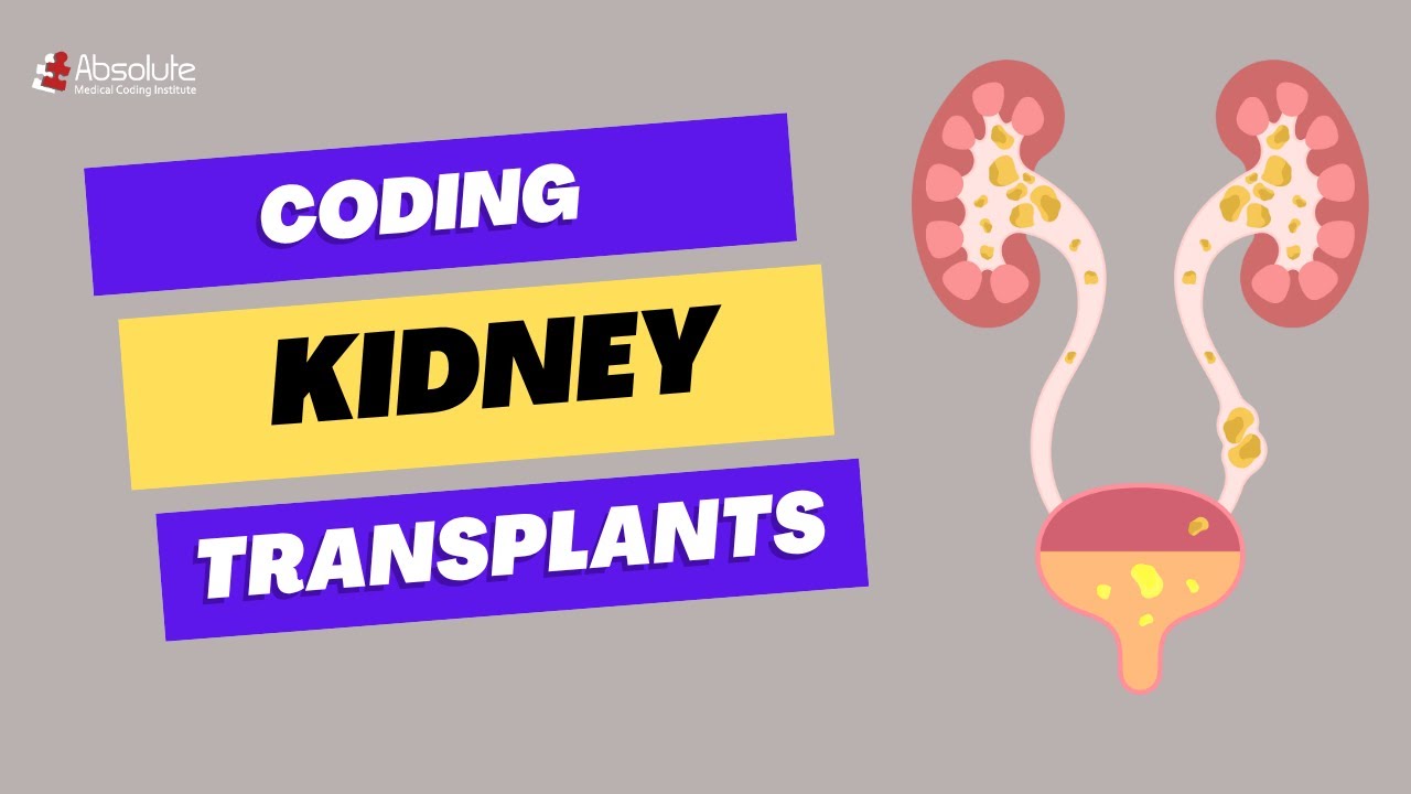 How to Code Kidney Transplants: With CPT Guidelines for Medical Coding Exam