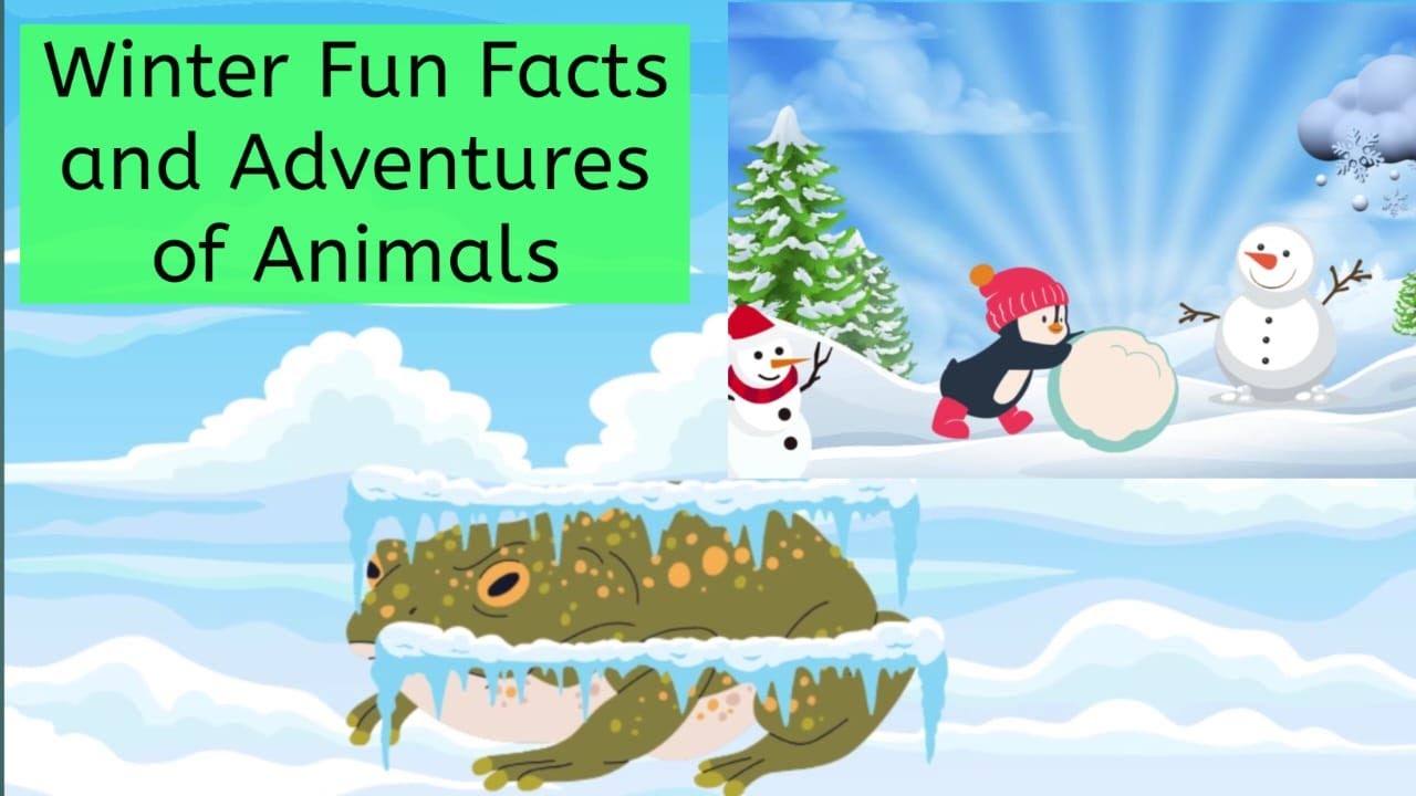 Winter Facts | Animated Video | Kids Learning Video | Kids Educational Video