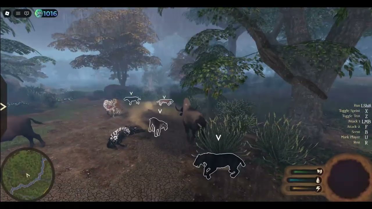 Learning how to fight as a bison │ Ecos: La Brea