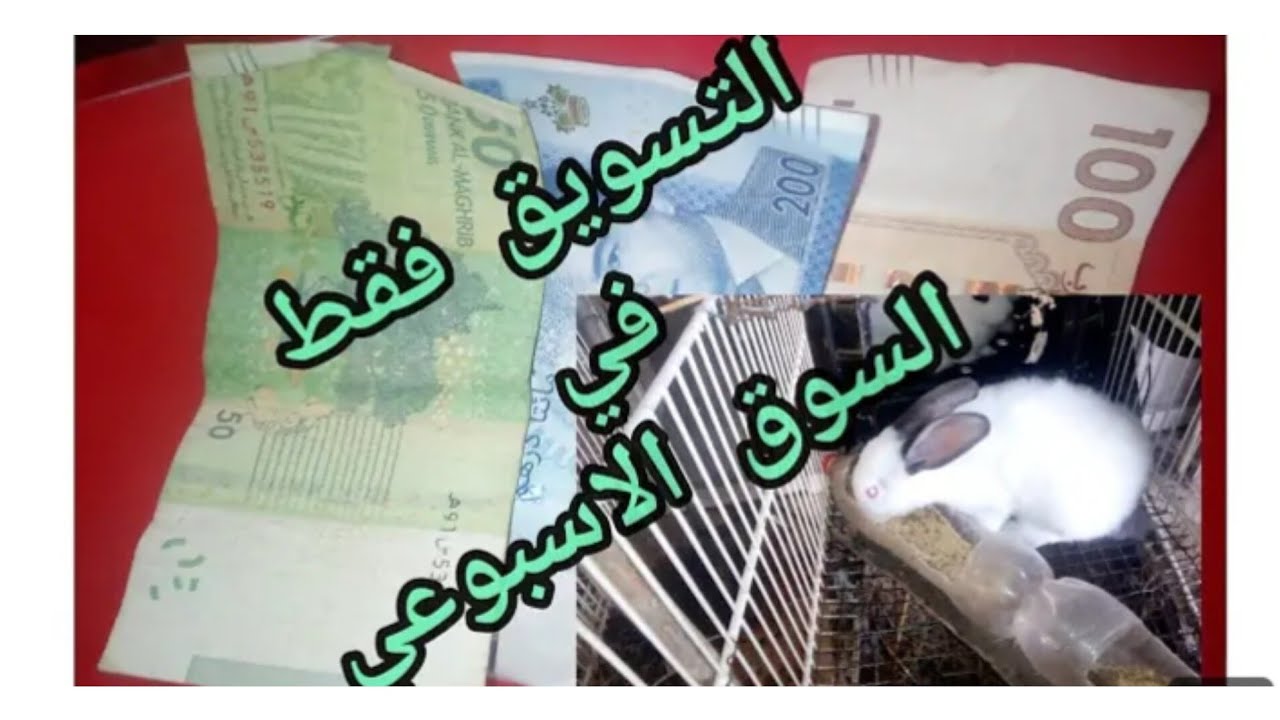 بهاد الطريقة مغتوقفش على سلعة ديالك 👌طريقة تسويق الأرانب 🐰🐇🐭