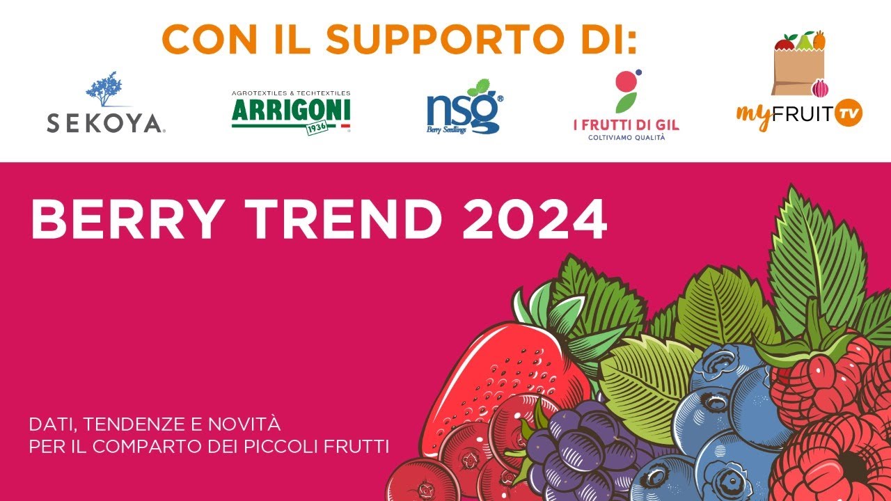 myfruit.TV: Berry trend 2024