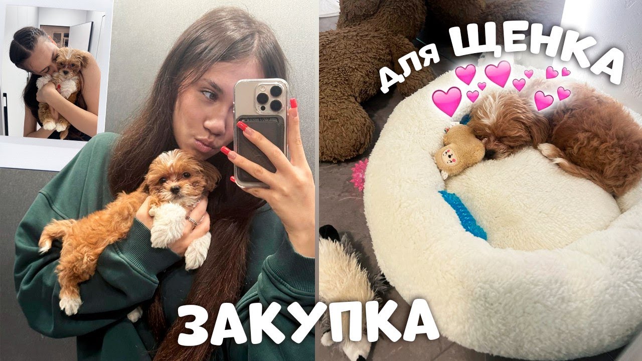 Первые ПОКУПКИ для ЩЕНКА