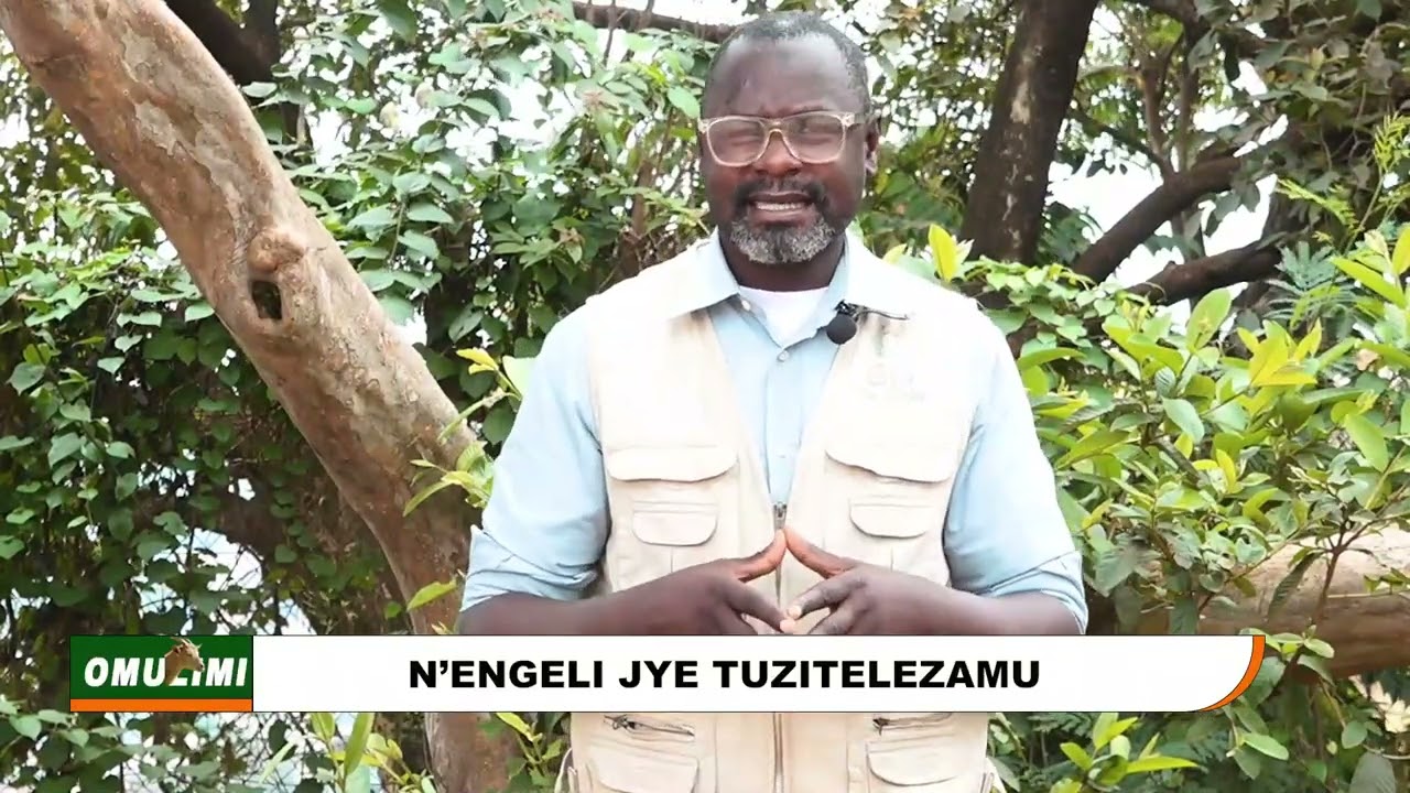 OMUKENKUFU KINTU