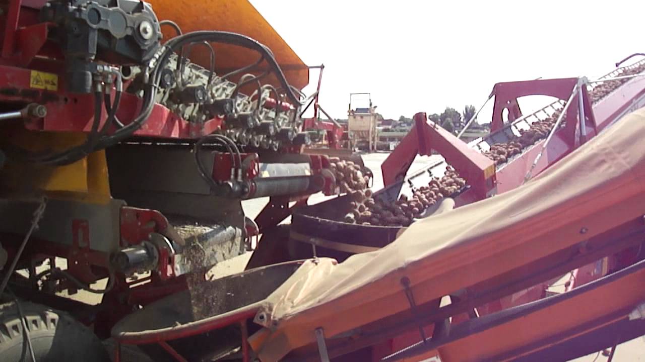 Grimme RH 24-60 XXL