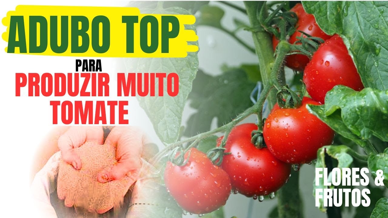 ADUBO PARA TOMATE - PARA FLORA&Ccedil;&Atilde;O E FRUTIFICA&Ccedil;&Atilde;O MAIS ABUNDANTE