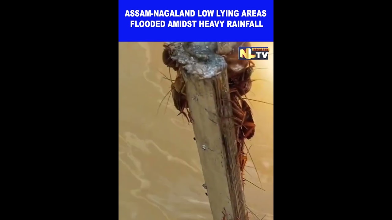 ASSAM-NAGALAND LOW LYING AREAS FLOODED AMIDST HEAVY RAINFALL