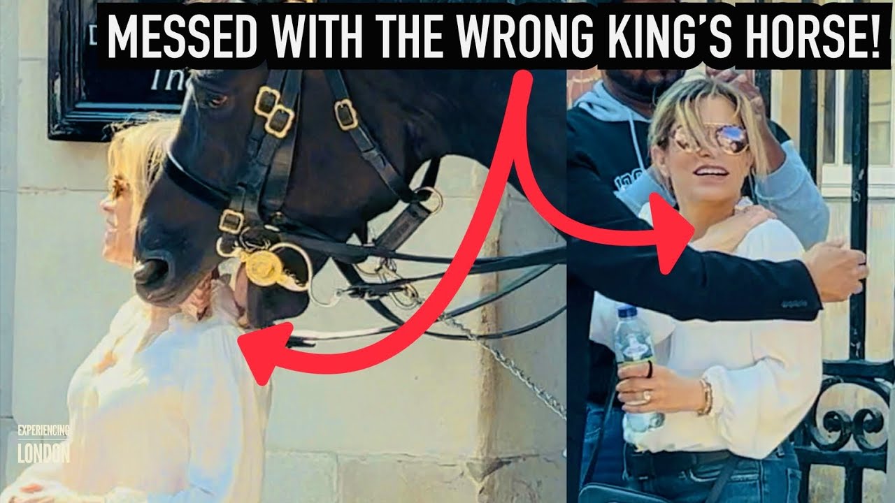 MESSED WITH WRONG HORSE THEN THIS HAPPENS! ⚠️🐎 | Horse Guards, Royal guard, Kings Guard, Horse