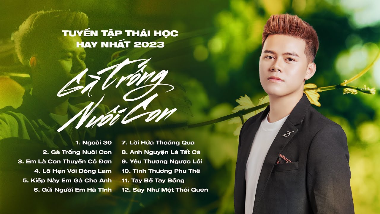 Ngoài 30, Gà Trống Nuôi Con,... | LK Nhạc Trữ Tình, Nhạc Trẻ Tâm Trạng Hay Nhất - Thái Học 2023