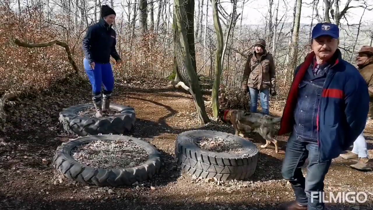 Erzgebirgstrail in Waldkirchen, Extremtrail für Pferde in Sachsen, Extreme Trail Erzgebirge