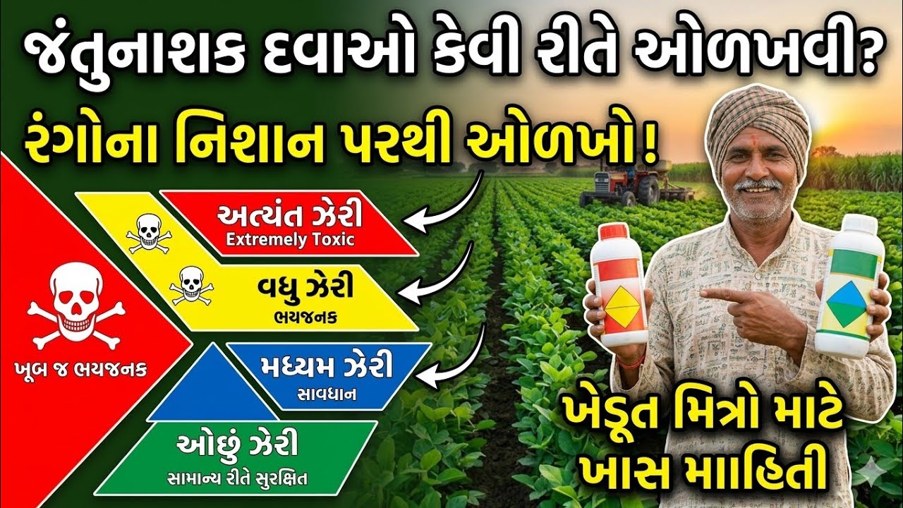 જંતુનાશક દવાને ઓળખો તેના કલર પરથી કેટલી ઝેરી છે 