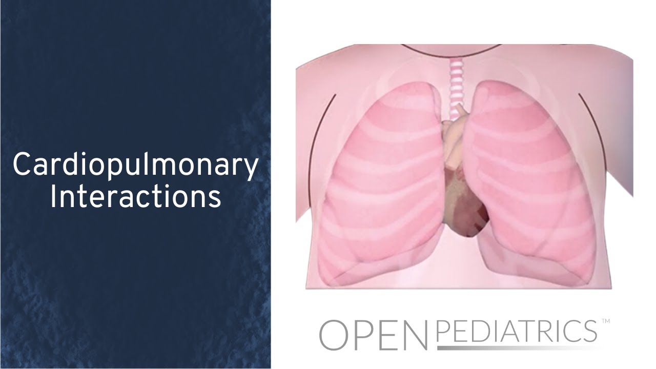 Cardiopulmonary Interactions by J. Rettig | OPENPediatrics