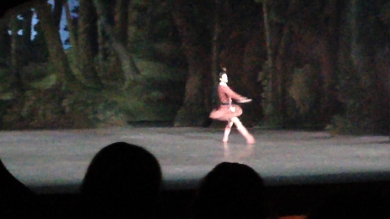 Vincent Chaillet - La Sylphide Acte 2 (2&egrave;me variation de James)