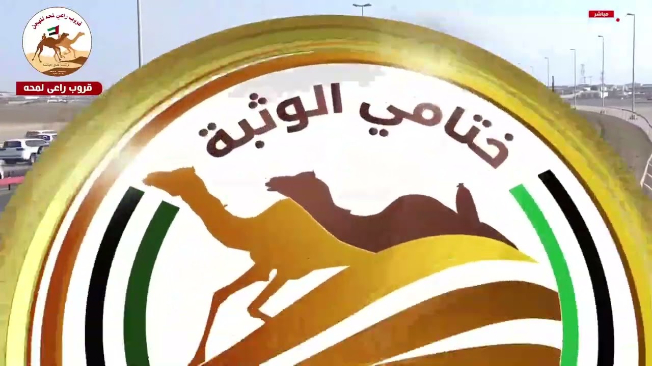 الشوط 10 ..الدانه لـ حمد محمد بن سالم الوهيبي 9:07:39( مهرجان ختامي الوثبة 2026 )
