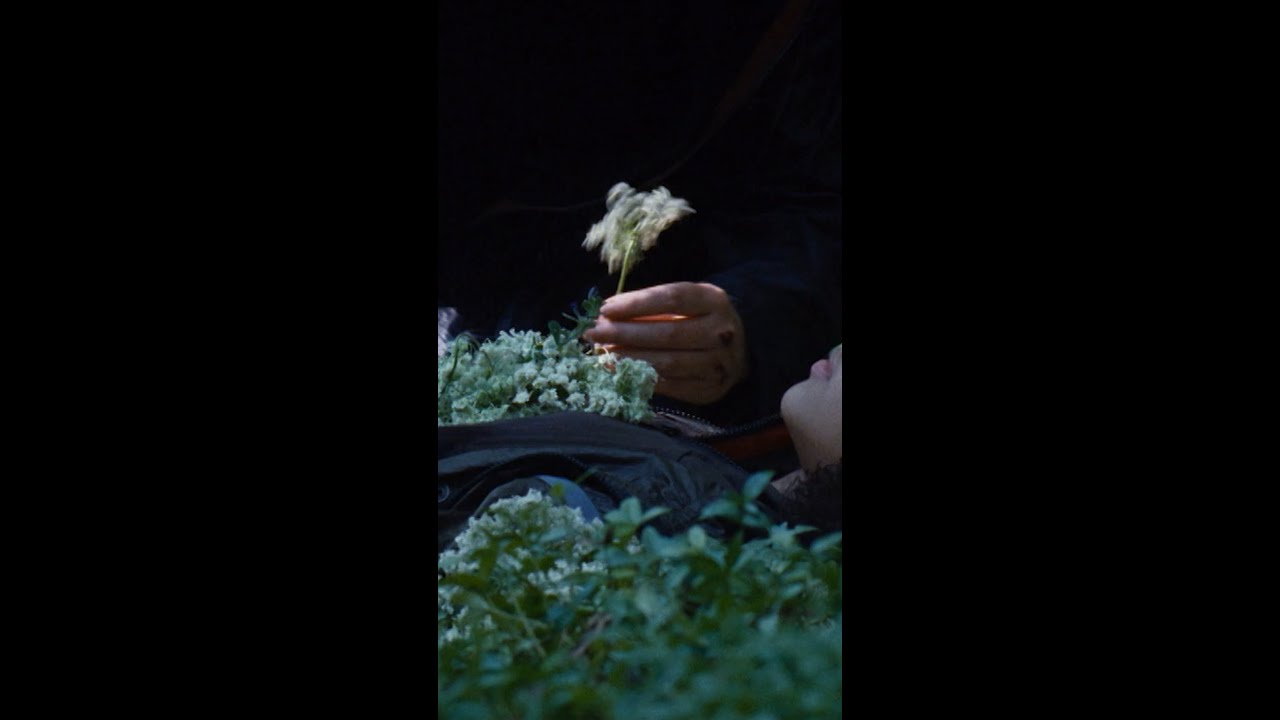 &bdquo;Zazp&iacute;v&aacute;&scaron; mi?&ldquo; 🕊️  Sledujte #TheHungerGames na #HBOMax