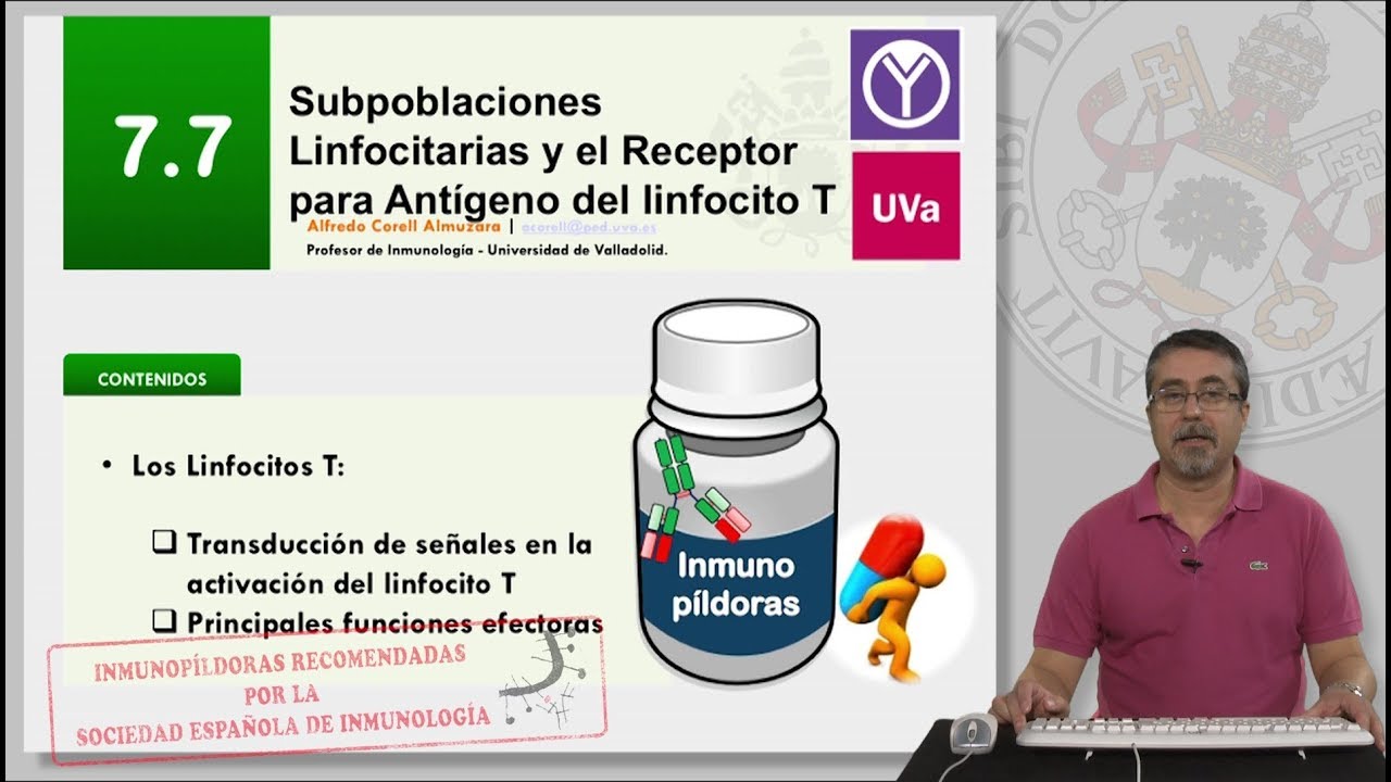 7.7 SUBPOBLACIONES LINFOCITARIAS Y EL RECEPTOR PARA ANTÍGENO DEL LINFOCITO T.