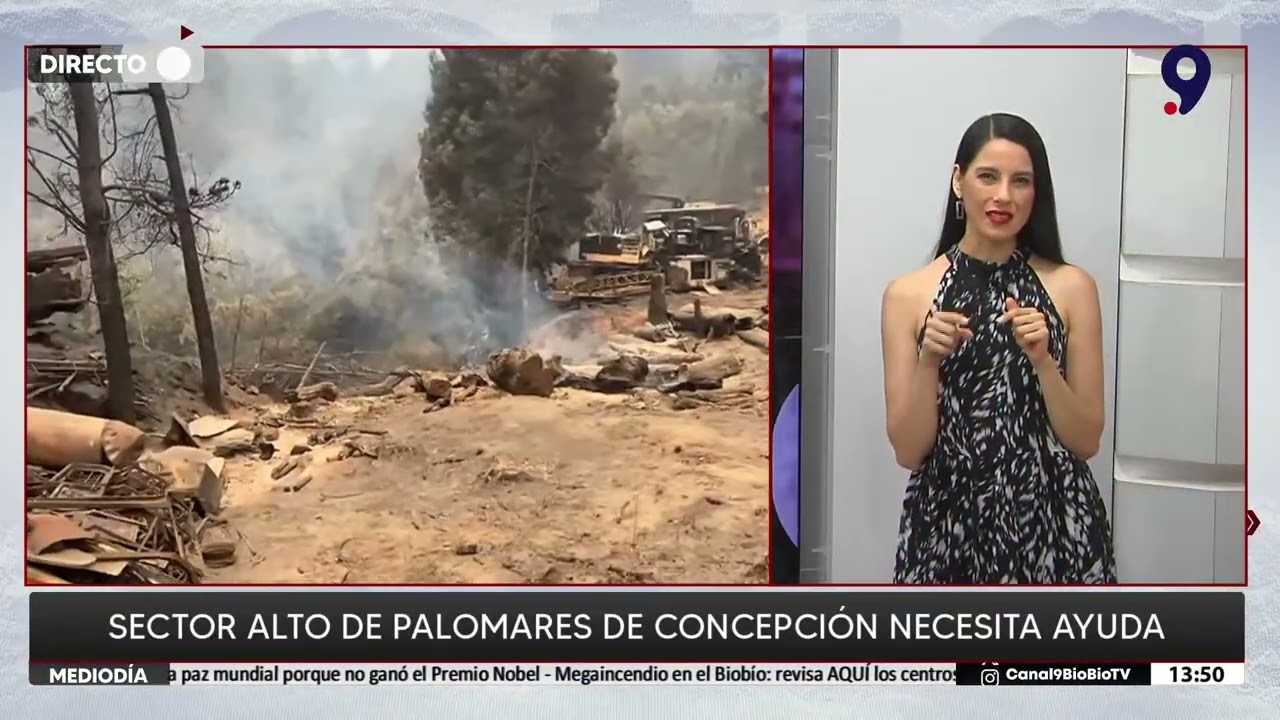 Sector Alto de Palomares de Concepción necesita ayuda