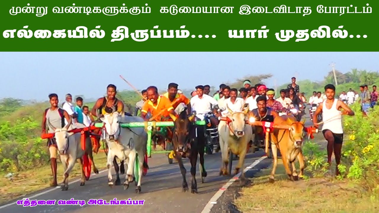 Amutham_studio | மஞ்சக்குடி பந்தய பயிற்சி களம்  | 01-03-2022 | #manchakudi