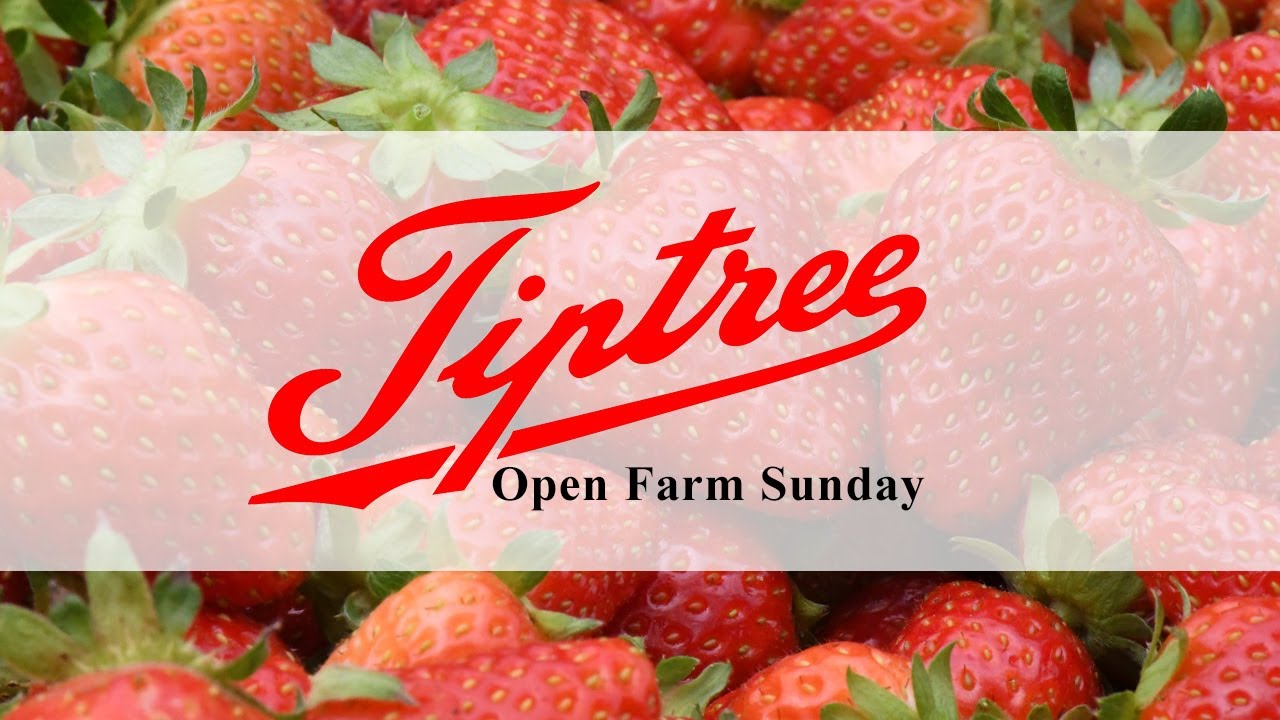 Tiptree Open Farm Sunday 2020