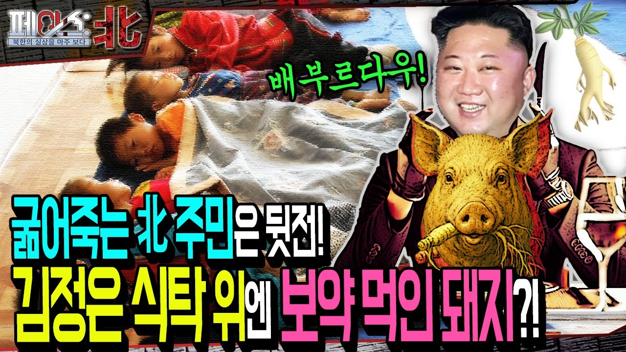 굶어죽는 北 주민은 뒷전! 김정은 식탁 위엔 보약 먹인 돼지가?! | '1호'를 위한 것들 [페이스:北 81회] | 국방홍보원
