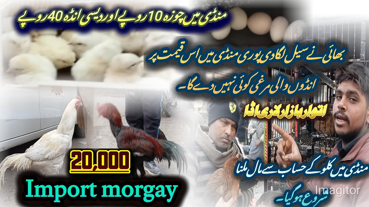 منڈی میں کلو کے حساب سے مال ملنا شروع ہو گیا۔ 