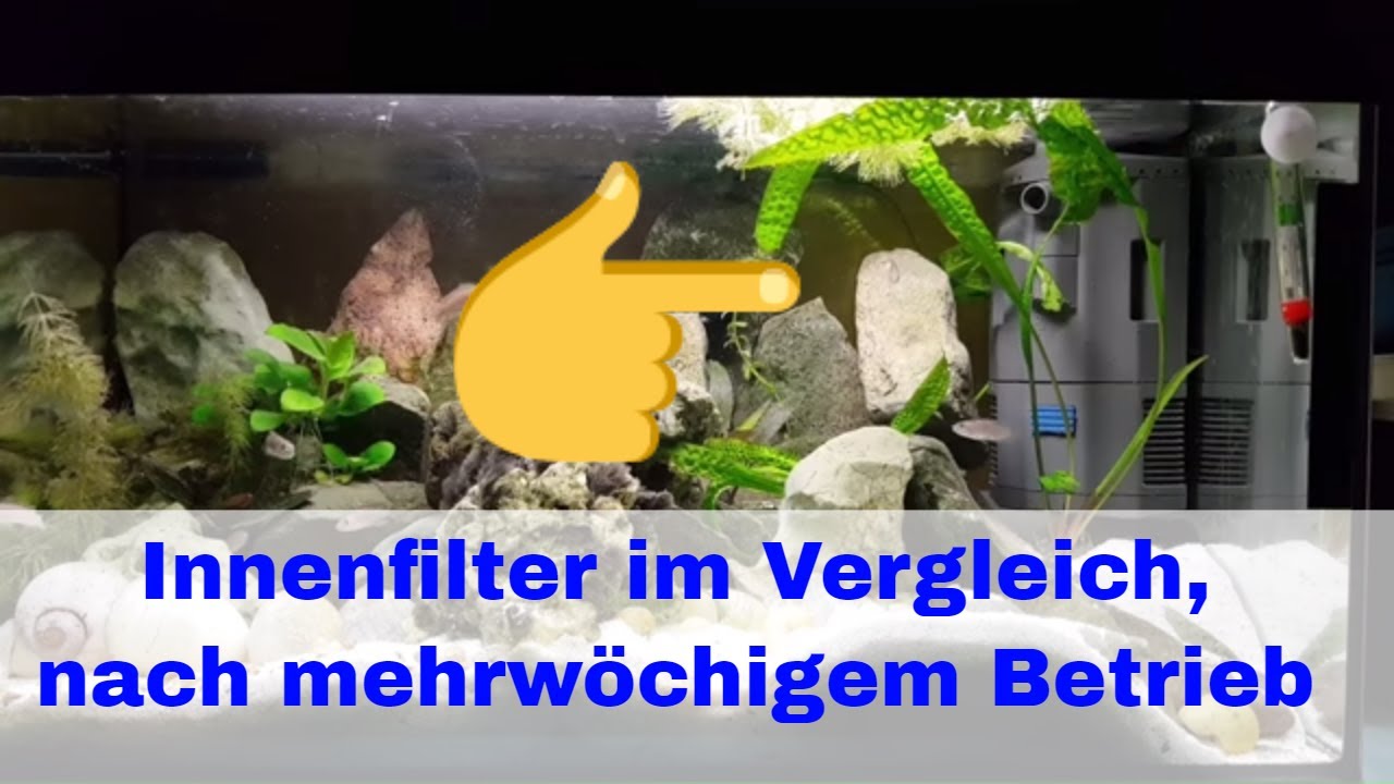 3 Innenfilter im Vergleich, Test nach mehrwöchigen Betrieb.