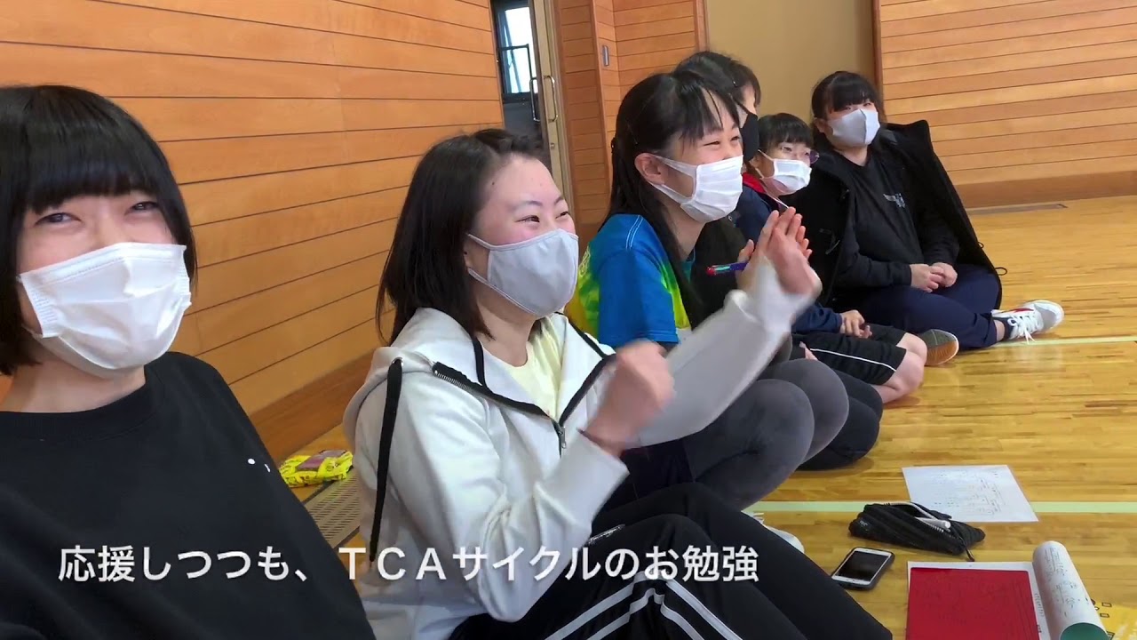 横浜栄養専門学校　令和２年：球技大会２０２０「徹底消毒のバレーボール大会」