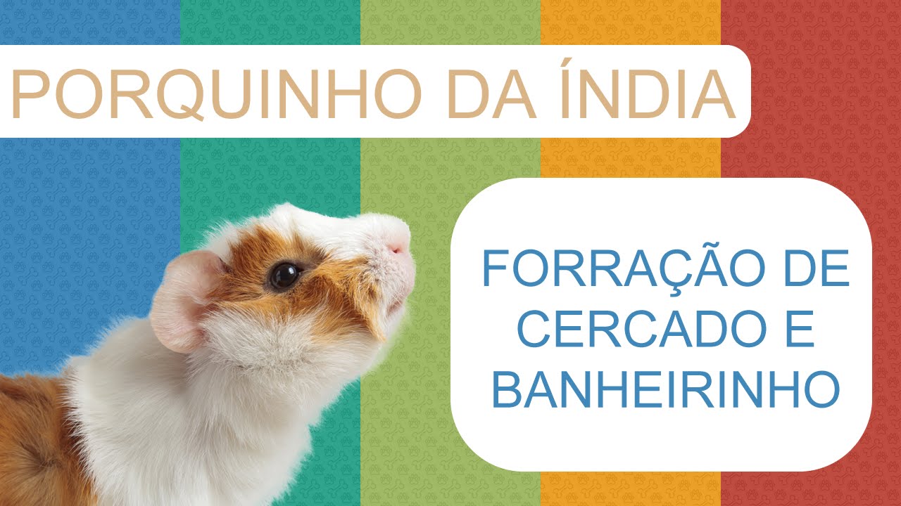 Forração de Cercado - Porquinho da Índia - Soft, Helanca, Areia