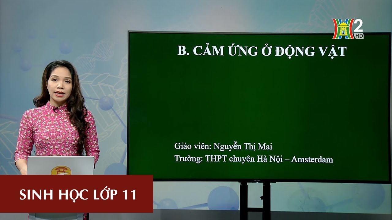 MÔN SINH HỌC - LỚP 11 | CẢM ỨNG Ở ĐỘNG VẬT (TIẾT 1) | 15H45 NGÀY 28.03.2020 | HANOITV