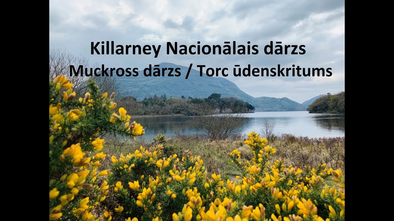 KILLARNEY NACIONĀLAIS PARKS - MUCKROSS DĀRZS. TORC ŪDENSKRITUMS / ĪRIJA /