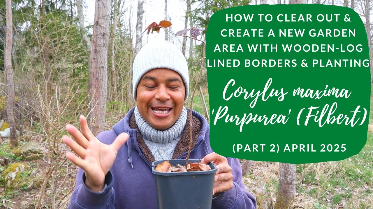 How to Clear Out & Create a New Border Defined Garden Area (Part 2)