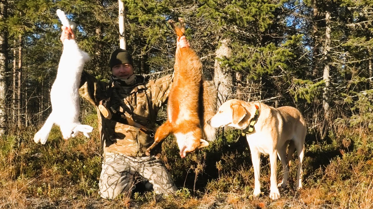 Jänismiehen Päiväkirja 9