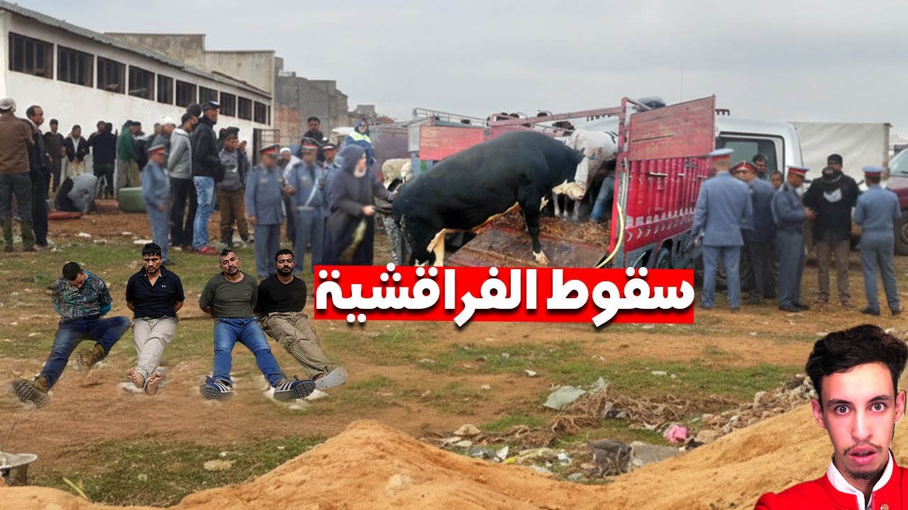 ها كيفاش طاحو الجوندارم على أخطر عصابة في مدينة الناظور.. عصابة الفراقشية؟