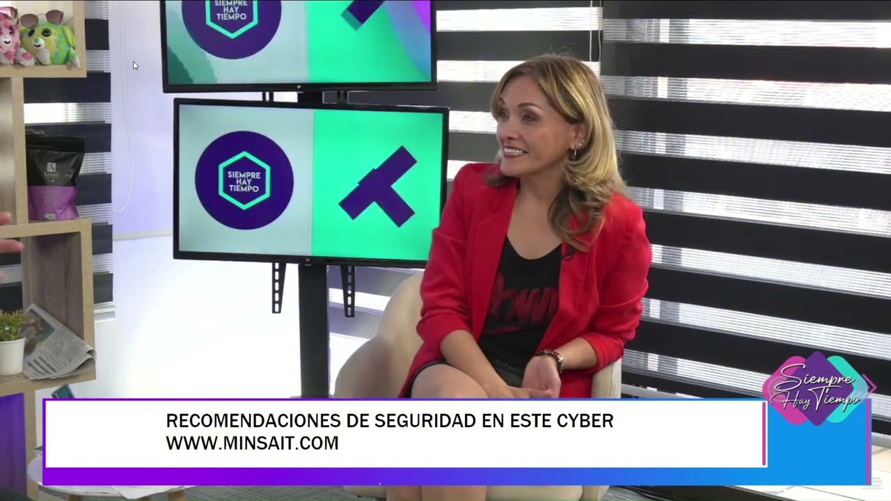 Pedro Gallardo, de Minsait Chile en UCV TV: Los riesgos de sufrir una estafa digital
