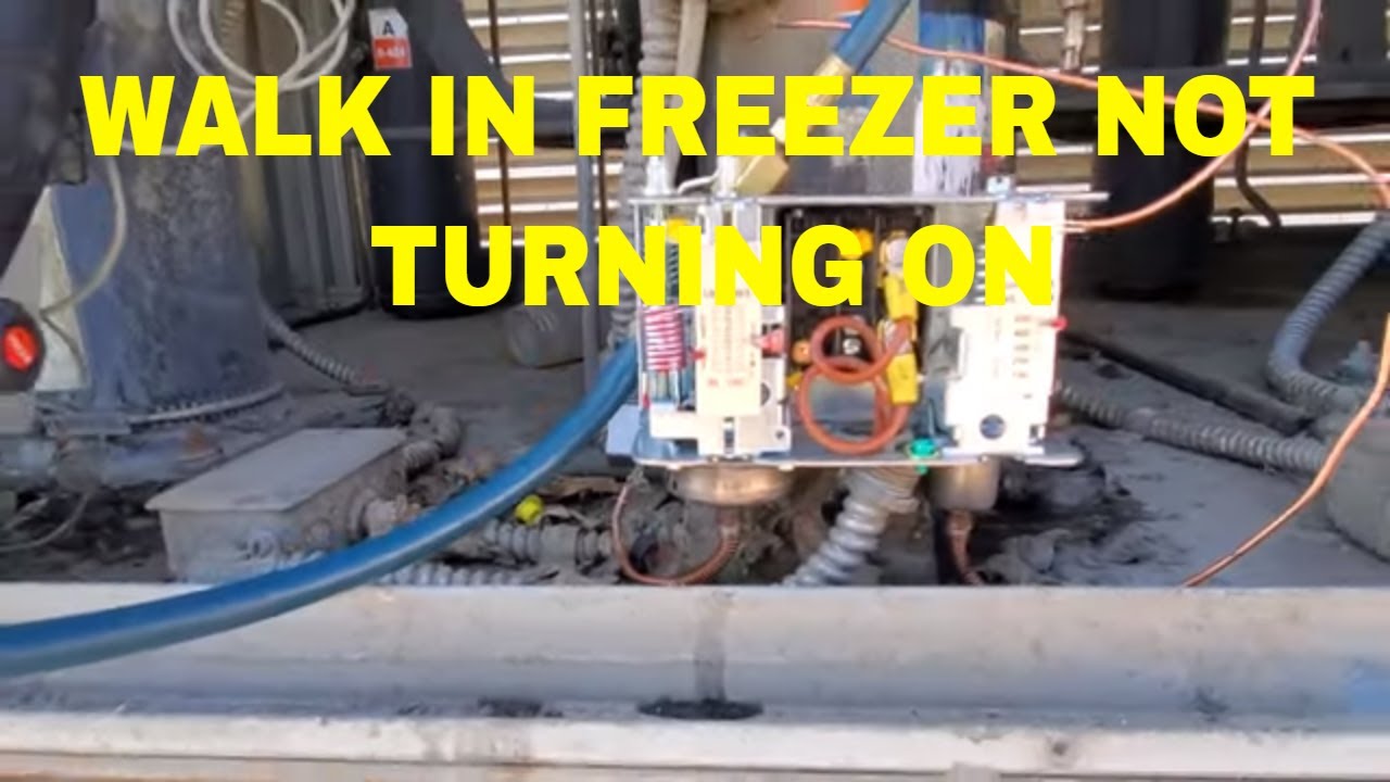 WALK IN FREEZER NOT TURNING ON